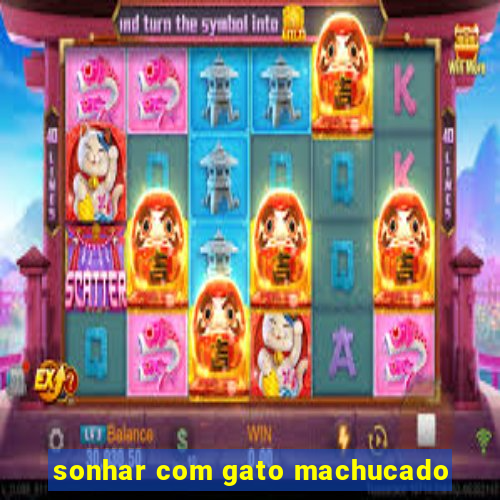 sonhar com gato machucado